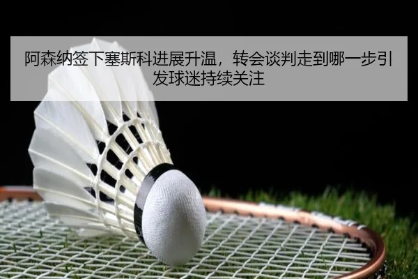 阿森纳签下塞斯科进展升温，转会谈判走到哪一步引发球迷持续关注